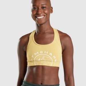 Gymshark Legacy sports bra